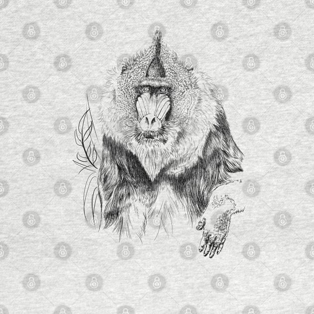 Mandrill by sibosssr